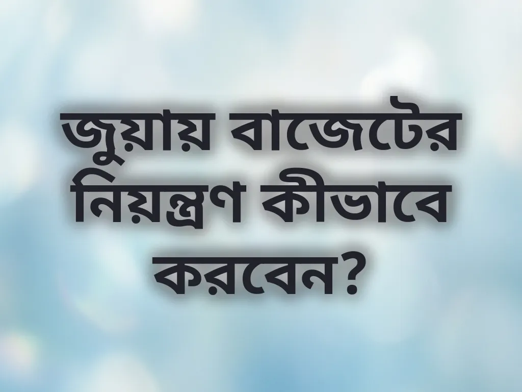 বাজেট নিয়ন্ত্রণ